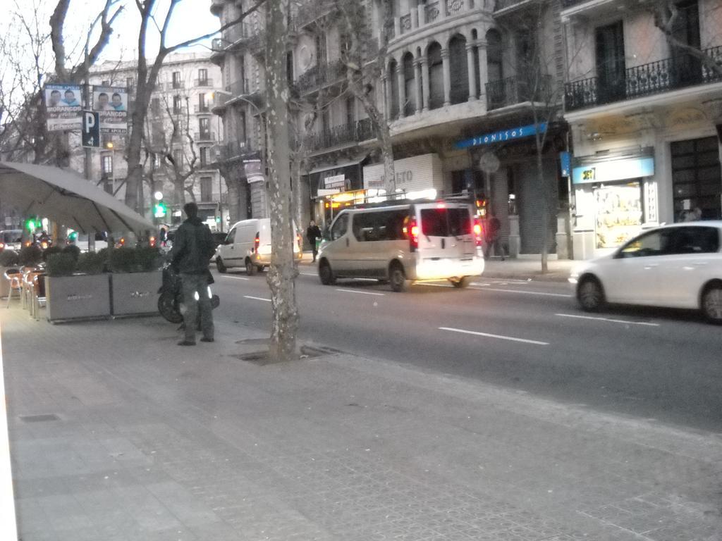 Aribau